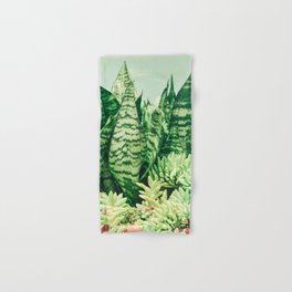 Succulents and Sansevieria - houseplant botanical leaf photograph Hand & Bath Towel