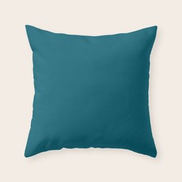 aqua throw pillows for bed