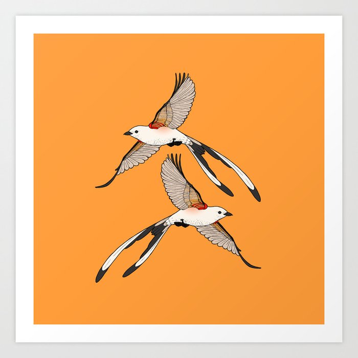 Scissor-tailed Flycatcher Art Print