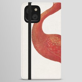 Scarlet Ibis with an Egg iPhone Wallet Case