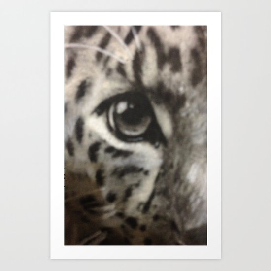 Leopard Eye Art Print