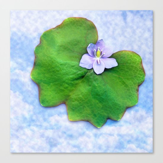 Light blue on light blue Canvas Print