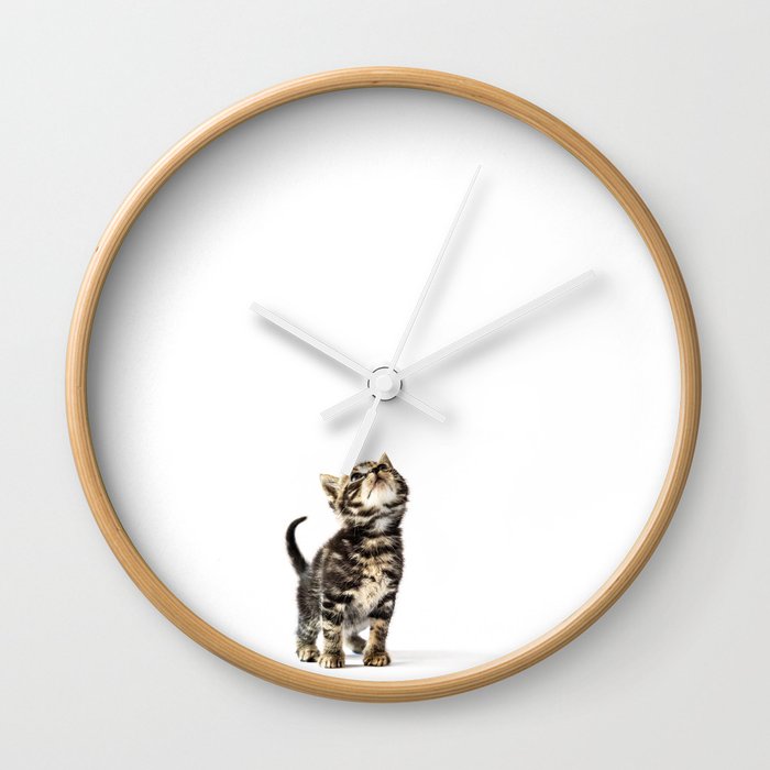 Baby cat Wall Clock