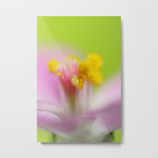 4mm Metal Print
