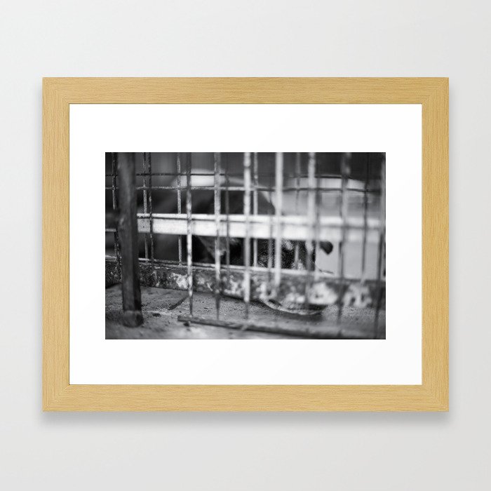 Caged & Forgotten  Framed Art Print