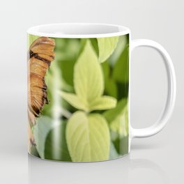 Flambeau Coffee Mug