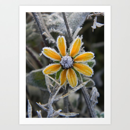 frozen smile Art Print