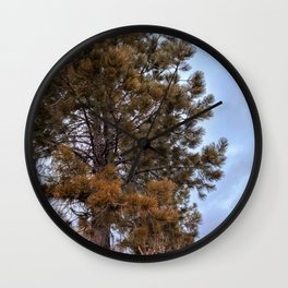 Pine Tree in the Blue Sky Wall Clock
