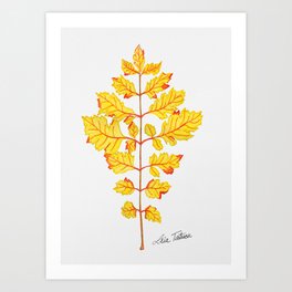 Yellow Autumn Leaf Art Print