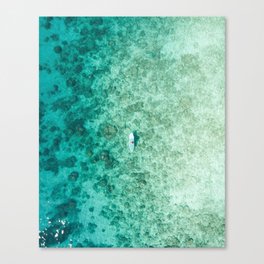 PADDLEBOARD Canvas Print