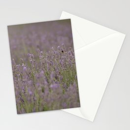 Bee In The Middle With Me Lavender Landscape Photograph Stationery Card