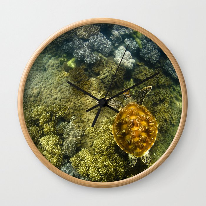 Turtle reef launch Wall Clock