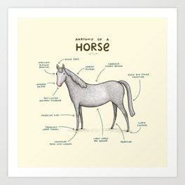 Anatomy of a Horse Art Print