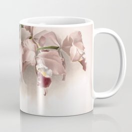 Vintage Orchid Print - Reichenbachia (1894) - Cattleya labiata gaskelliana Coffee Mug | Nature, Orchid, Flora, Biology, Painting, Flower, Floral, Antique, Old, Drawing 