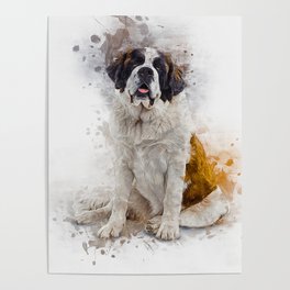 St Bernard Poster