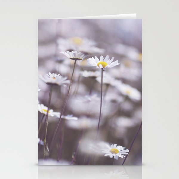 Daisies Stationery Cards