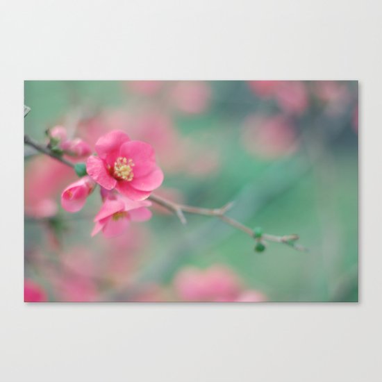BEAUTY Canvas Print