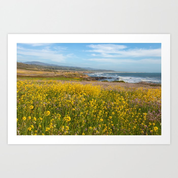 Beach Wildflowers Art Print