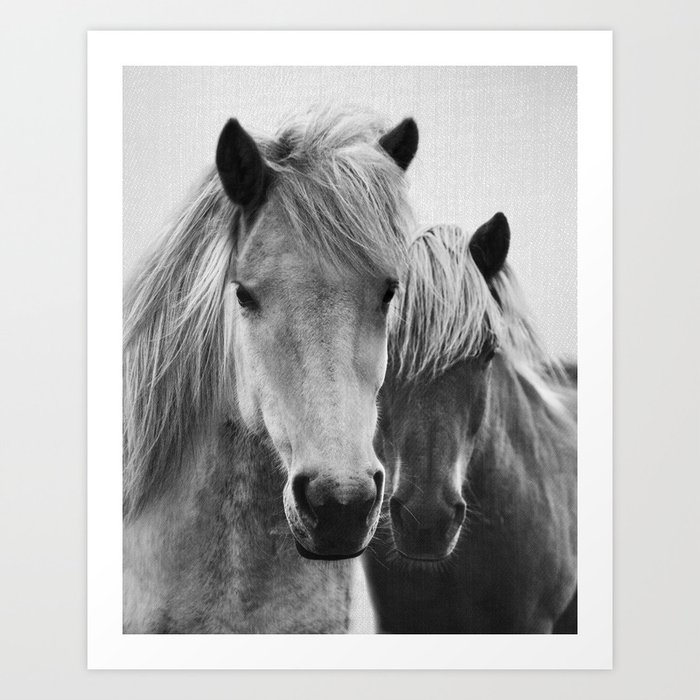 Horses - Black & White 7 Art Print