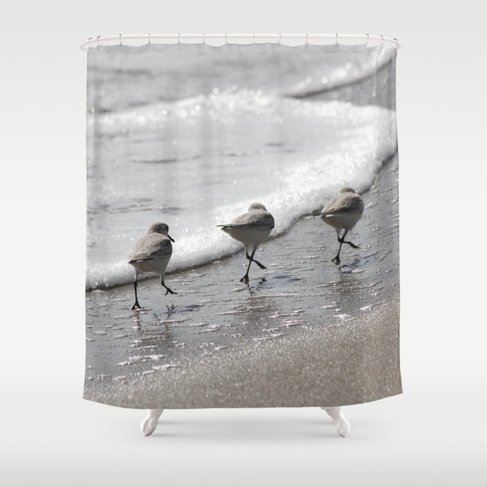 Sandpipers Birds on the Beach Shower Curtain