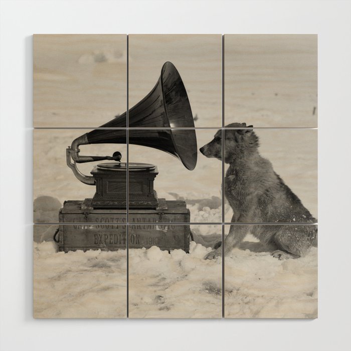 Chris the Dog and the Gramophone, Anarctic snow-covered polar black and white photography / photographs by Herbert Ponting Wood Wall Art
