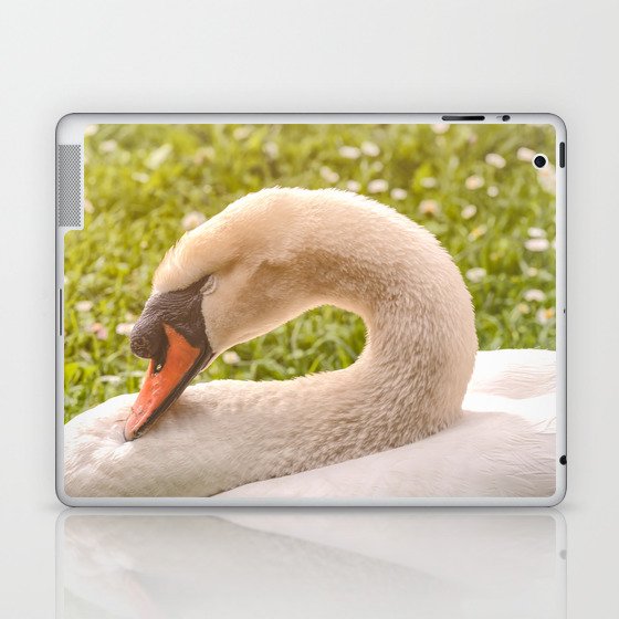 Sleeping Mute Swan Laptop & iPad Skin