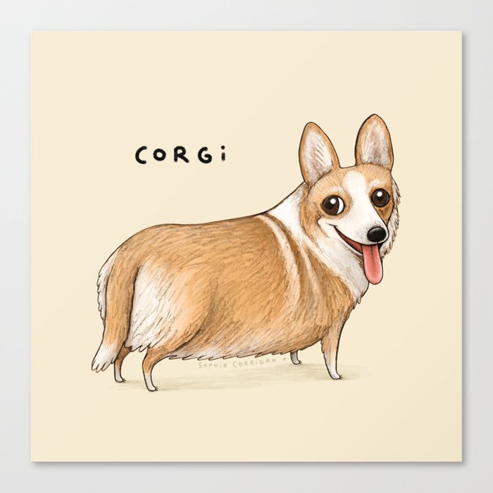 Corgi Canvas Print