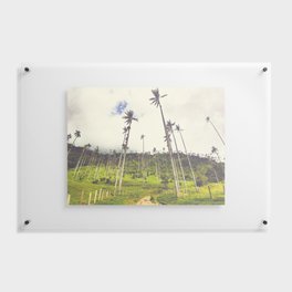 Wax Palms Tower over Cocora Valley Fine Art Print Floating Acrylic Print