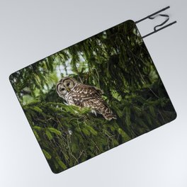 Barred Owl Picnic Blanket