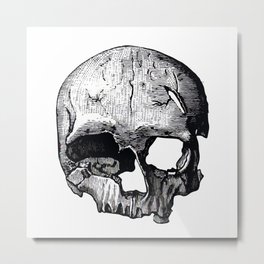 Skull 8 Metal Print | Miedo, Terror, Bones, Painting, Skulls, Hueso, Ghost, Fantasmas, Halloween, Huesos 