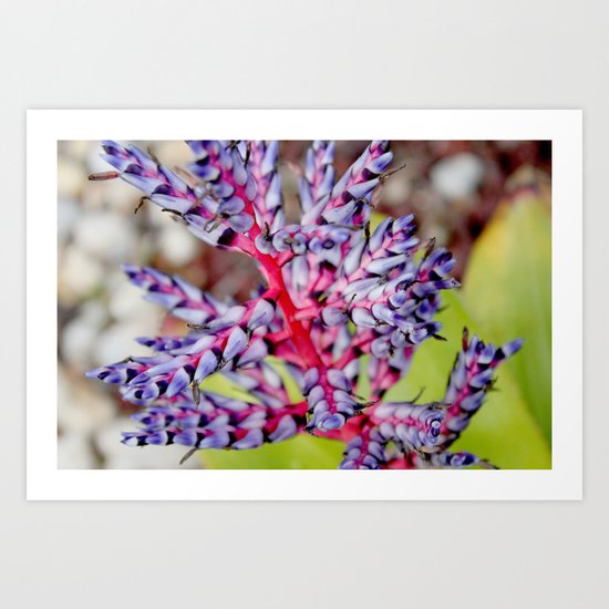 If I Were A Flower Art Print