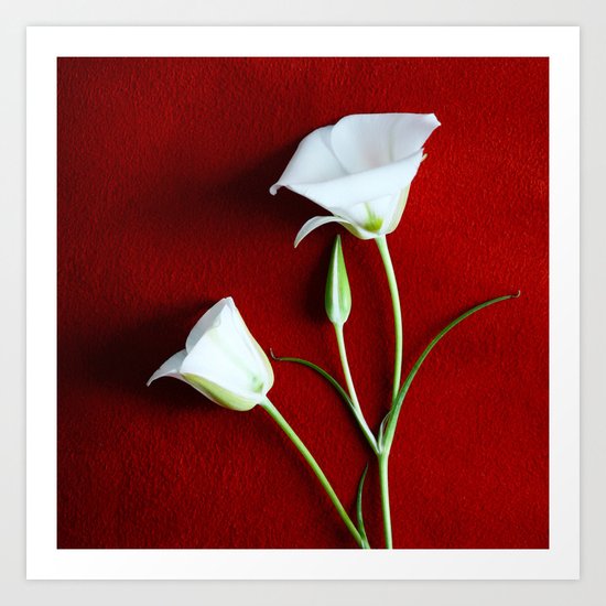Lilies and Love Art Print