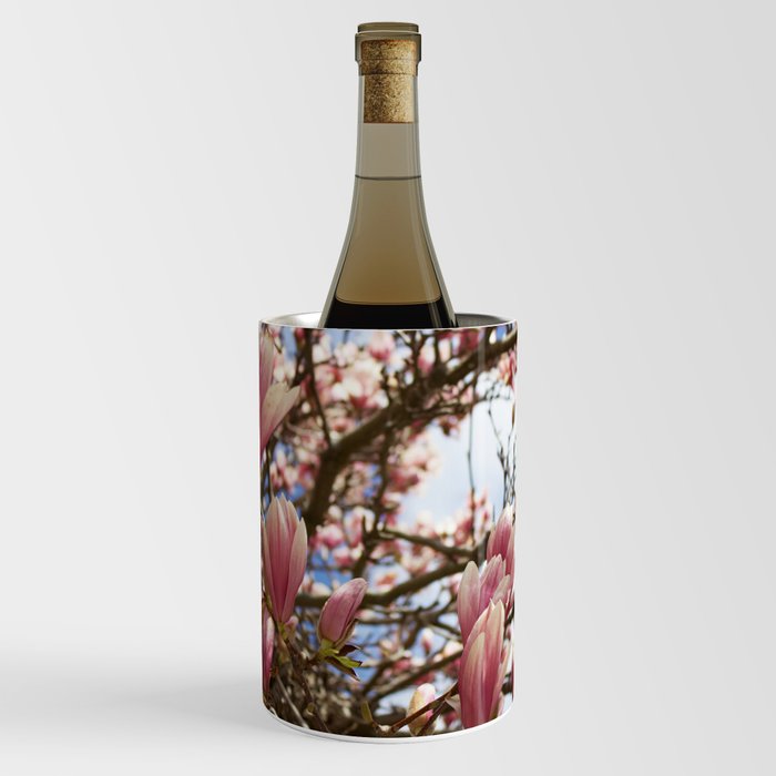 Spring Magnolia Blossoms in Salem Wine Chiller