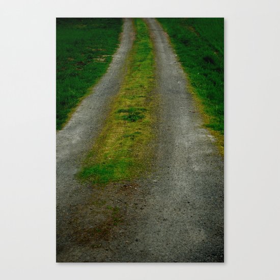 Unknown Canvas Print
