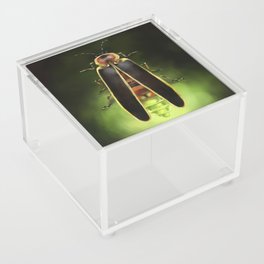 Lightning Bug - Firefly Acrylic Box