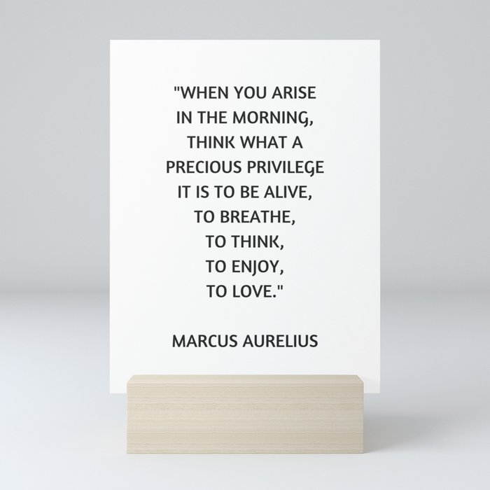 Stoic Philosophy Quote - Marcus Aurelius - What a precious privilege it is to be alive Mini Art Print