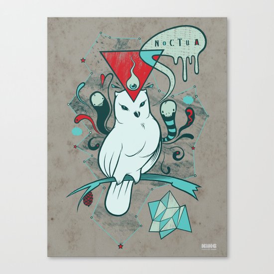Noctua Canvas Print
