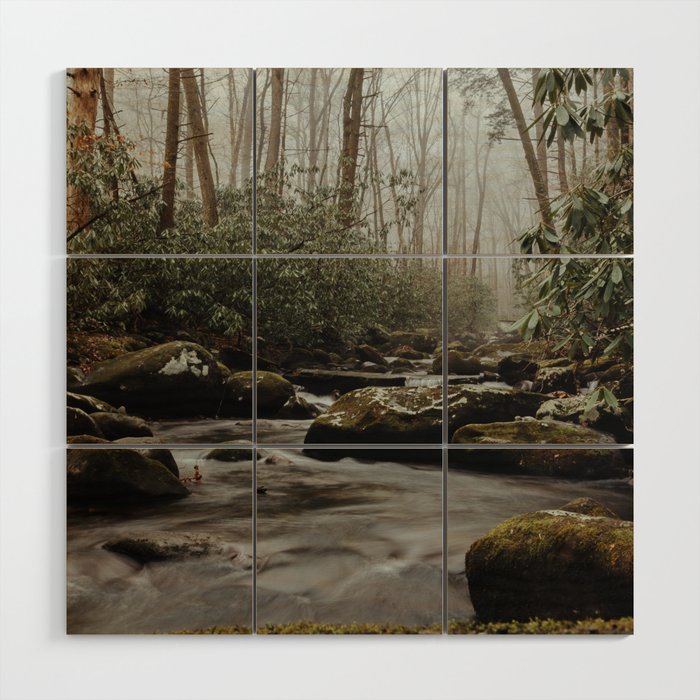 Great Smoky Mountains National Park - Porter's Creek Wood Wall Art