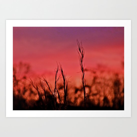 Losing Light Art Print