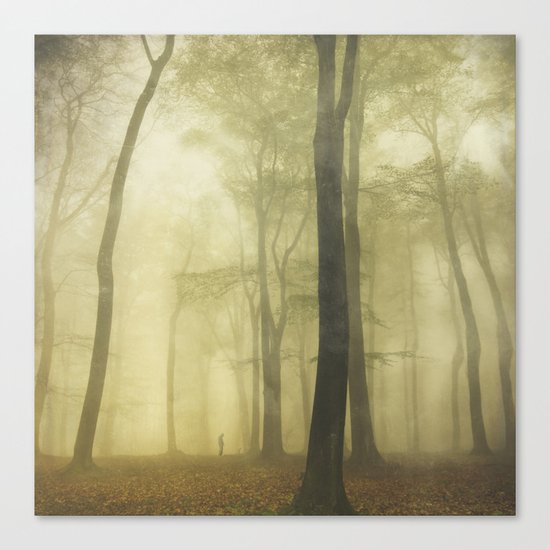 soliloquy Canvas Print
