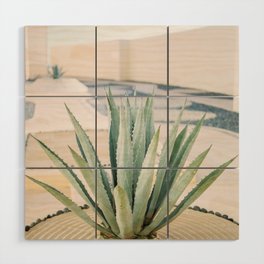 Agave plant in Mexico Wood Wall Art