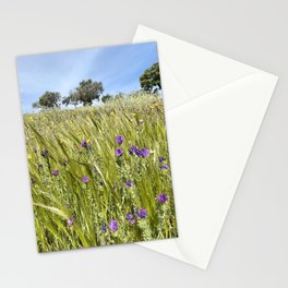 Summervibes Stationery Cards