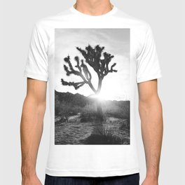 Joshua Tree with Sun Flare T-shirt
