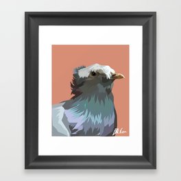 Teen Pigeon - look at the fringe! Framed Art Print