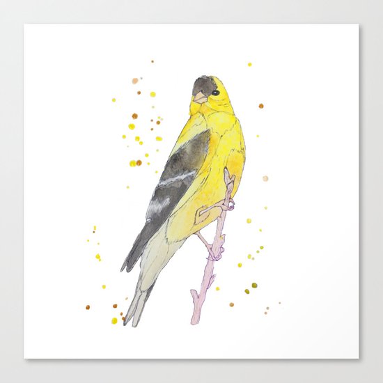 Yellow Bird Canvas Print