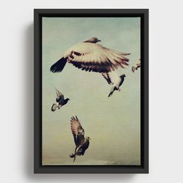 Birds in Flight - beautiful nature photograph Framed Canvas