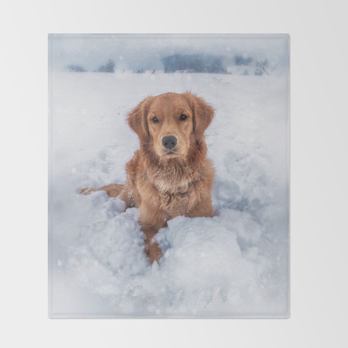 Golden Retriever Winter Throw Blanket By Illupicatart Society6