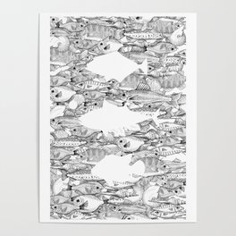 Sea of fish Poster