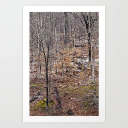 in the woods Art Print