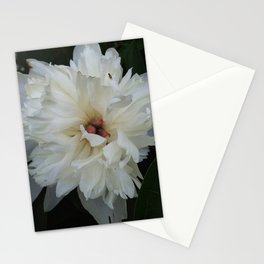 white flower Stationery Cards